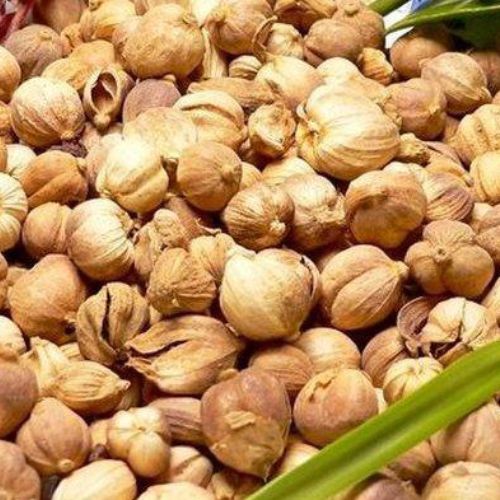 Minuman Herbal Sinusitis