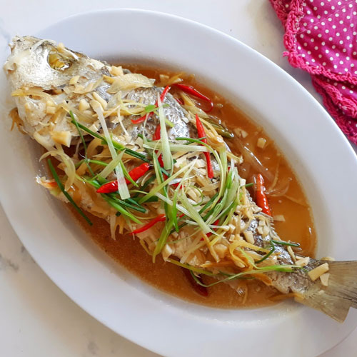 Ikan Tim